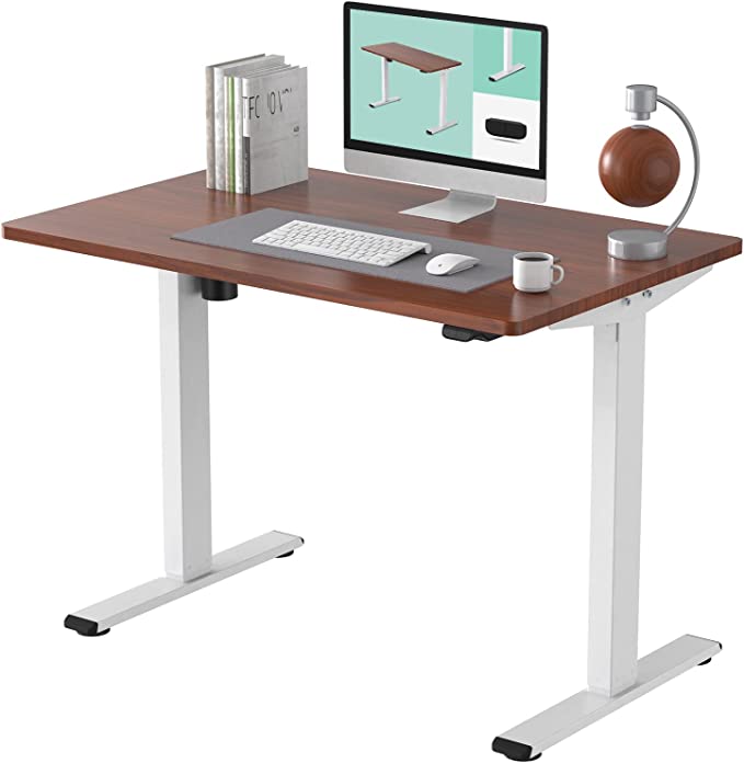 FLEXISPOT EC1 Essential Electric Standing Desk